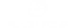 BudgetCoinz Bitcoin ATM